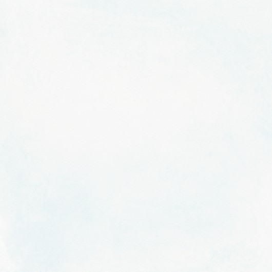 2313.jpg