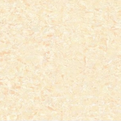 2619.jpg