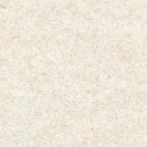PG POLIRANI GRANIT PG-T401 60X60 1kl.