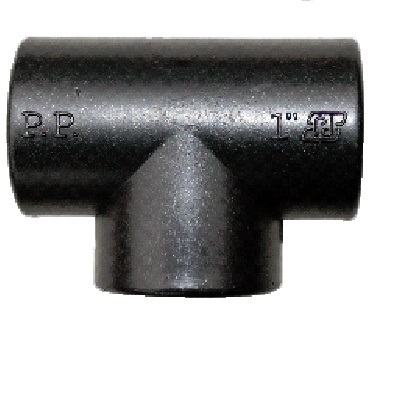 2973.jpg